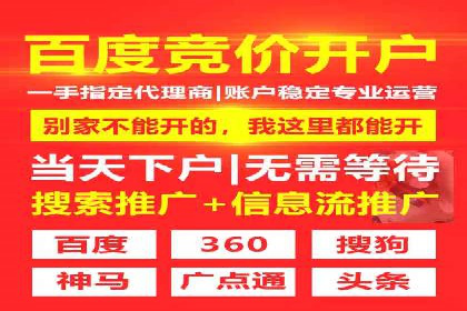SEM代理服务：案例对比，效果哪家更胜一筹